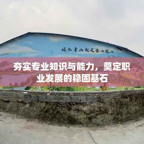 夯实专业知识与能力,奠定职业发展的稳固基石