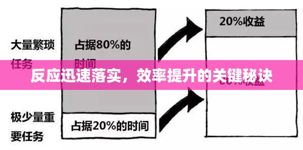 反应迅速落实,效率提升的关键秘诀