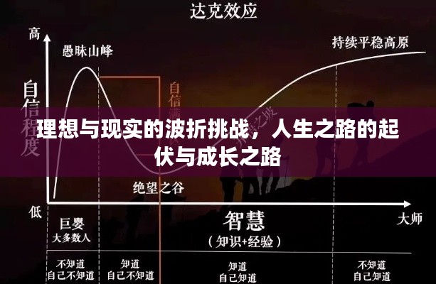 理想与现实的波折挑战,人生之路的起伏与成长之路