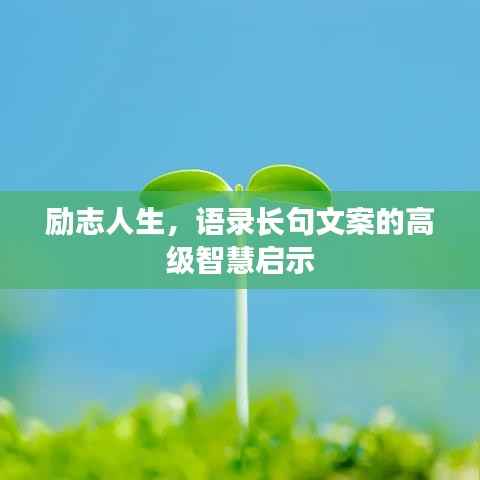 励志人生，语录长句文案的高级智慧启示