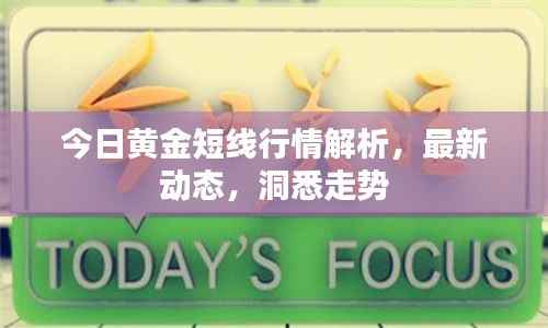 今日黄金短线行情解析,最新动态,洞悉走势
