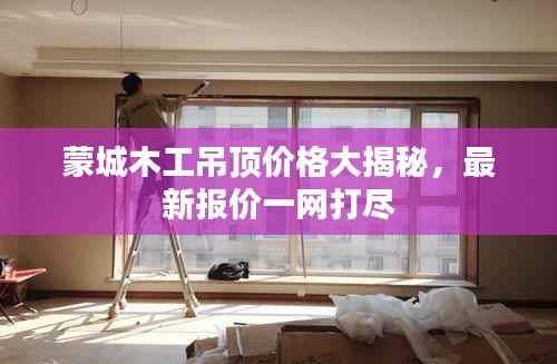 蒙城木工吊顶价格大揭秘，最新报价一网打尽