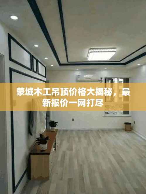蒙城木工吊顶价格大揭秘,最新报价一网打尽