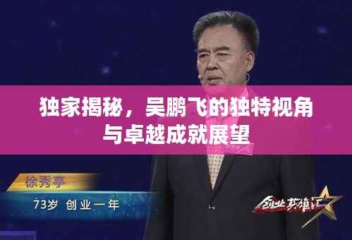 独家揭秘,吴鹏飞的独特视角与卓越成就展望