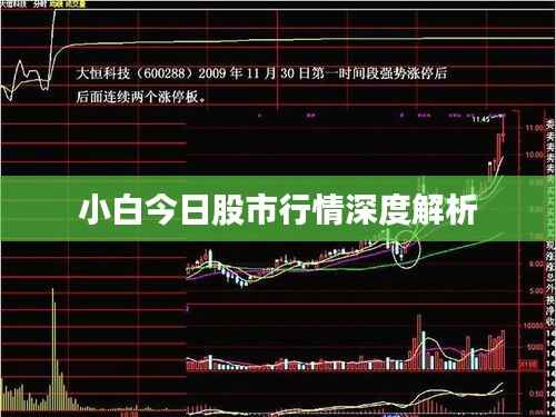 小白今日股市行情深度解析