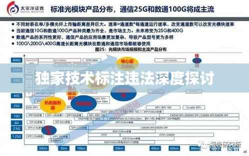 独家技术标注违法深度探讨