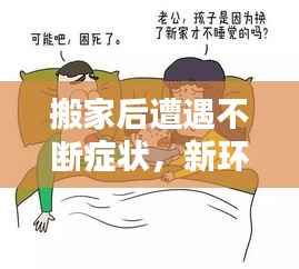 搬家后遭遇不断症状,新环境适应挑战与应对良方