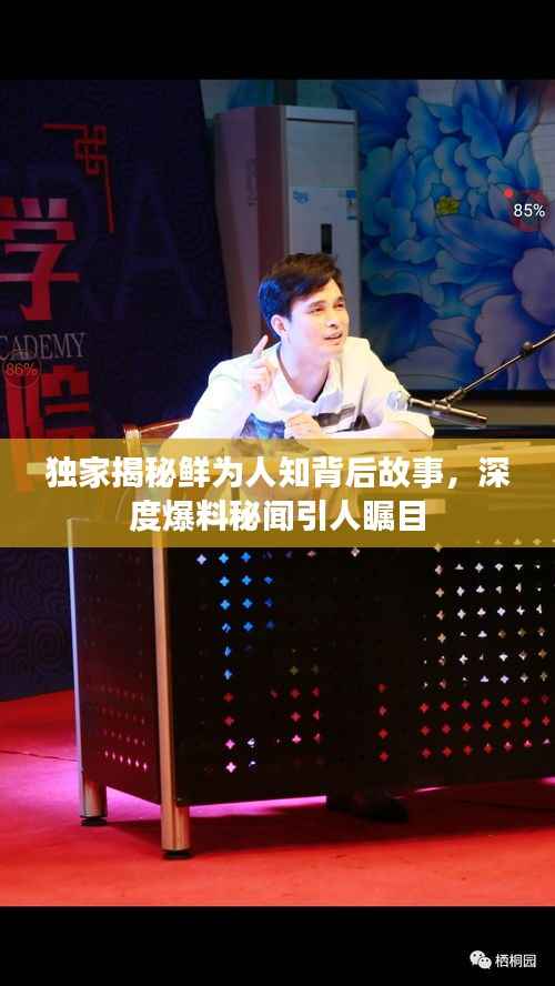 独家揭秘鲜为人知背后故事，深度爆料秘闻引人瞩目
