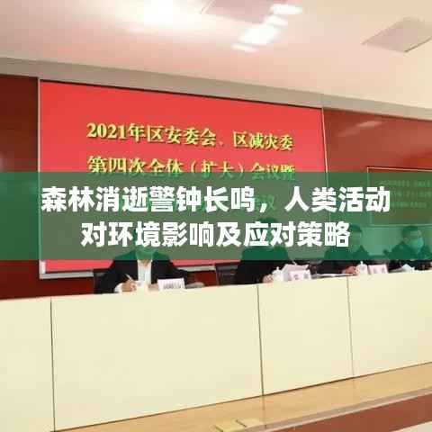 森林消逝警钟长鸣,人类活动对环境影响及应对策略