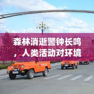 森林消逝警钟长鸣,人类活动对环境影响及应对策略