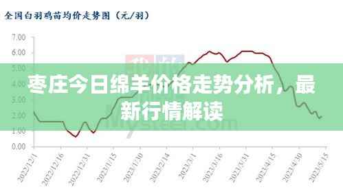 枣庄今日绵羊价格走势分析，最新行情解读