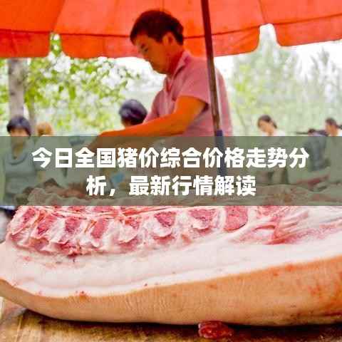 今日全国猪价综合价格走势分析，最新行情解读