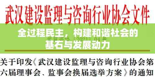 全过程民主,构建和谐社会的基石与发展动力
