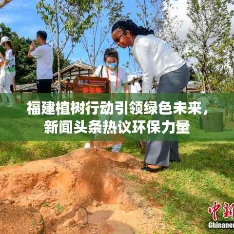 福建植树行动引领绿色未来,新闻头条热议环保力量