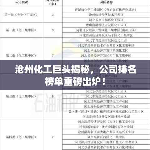 沧州化工巨头揭秘,公司排名榜单重磅出炉!