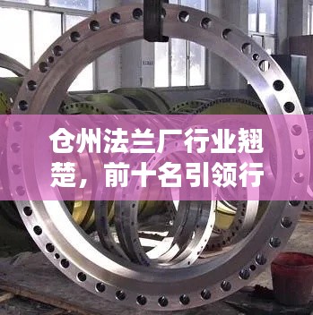 仓州法兰厂行业翘楚,前十名引领行业潮流