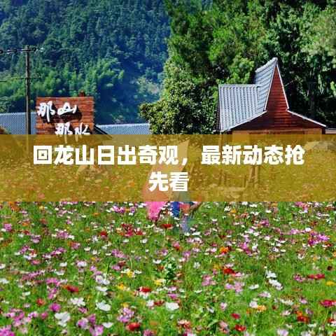 回龙山日出奇观,最新动态抢先看