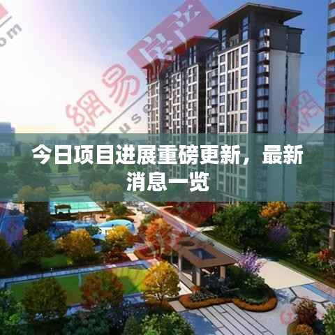 今日项目进展重磅更新,最新消息一览