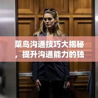菜鸟沟通技巧大揭秘,提升沟通能力的独家交流技巧