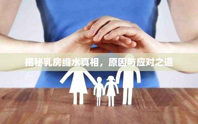 揭秘乳房缩水真相,原因与应对之道