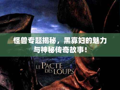 怪兽专题揭秘,黑寡妇的魅力与神秘传奇故事!