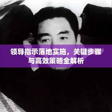 领导指示落地实施,关键步骤与高效策略全解析