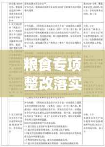粮食专项整改落实工作深度解读,政策、实践与成效解析
