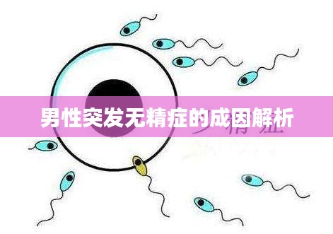 男性突发无精症的成因解析