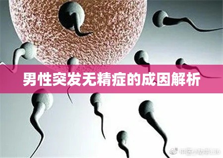 男性突发无精症的成因解析