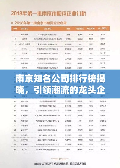 南京知名公司排行榜揭晓,引领潮流的龙头企业榜单出炉!