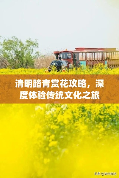 清明踏青赏花攻略，深度体验传统文化之旅