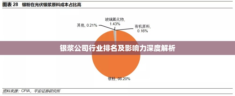 银浆公司行业排名及影响力深度解析