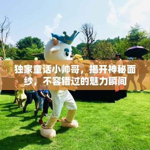 独家童话小帅哥,揭开神秘面纱,不容错过的魅力瞬间