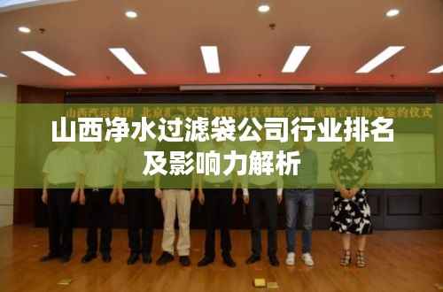 山西净水过滤袋公司行业排名及影响力解析