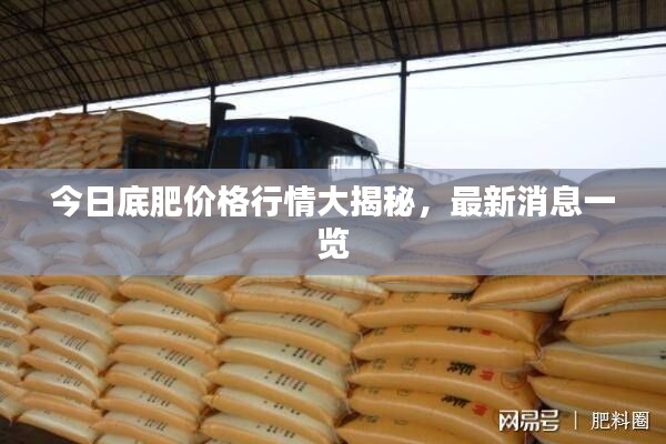今日底肥价格行情大揭秘,最新消息一览