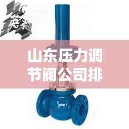 山东压力调节阀公司排名大揭秘,权威榜单,行业领先的几家企业!
