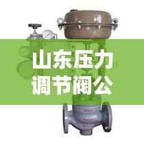 山东压力调节阀公司排名大揭秘,权威榜单,行业领先的几家企业!