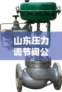 山东压力调节阀公司排名大揭秘,权威榜单,行业领先的几家企业!