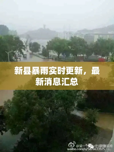 新县暴雨实时更新,最新消息汇总