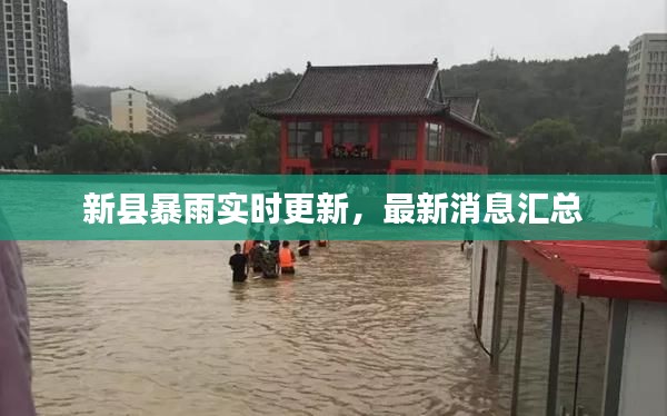 新县暴雨实时更新,最新消息汇总