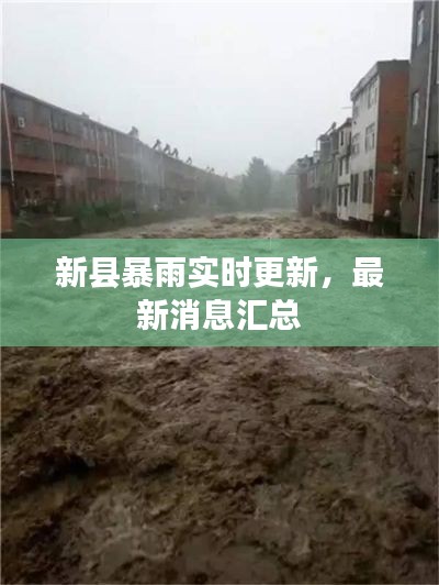 新县暴雨实时更新,最新消息汇总