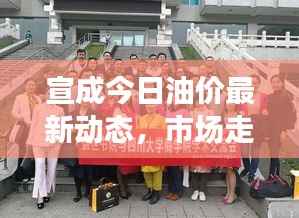 宣成今日油价最新动态，市场走势与影响因素深度解析