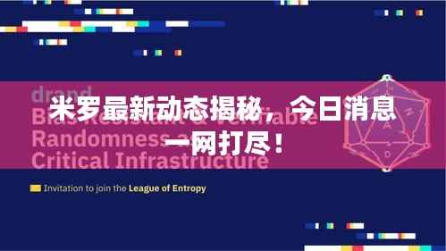 米罗最新动态揭秘,今日消息一网打尽!