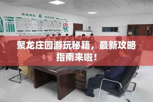 聚龙庄园游玩秘籍,最新攻略指南来啦!