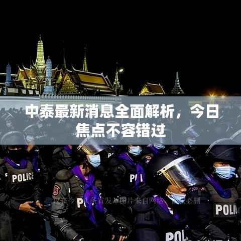 中泰最新消息全面解析,今日焦点不容错过