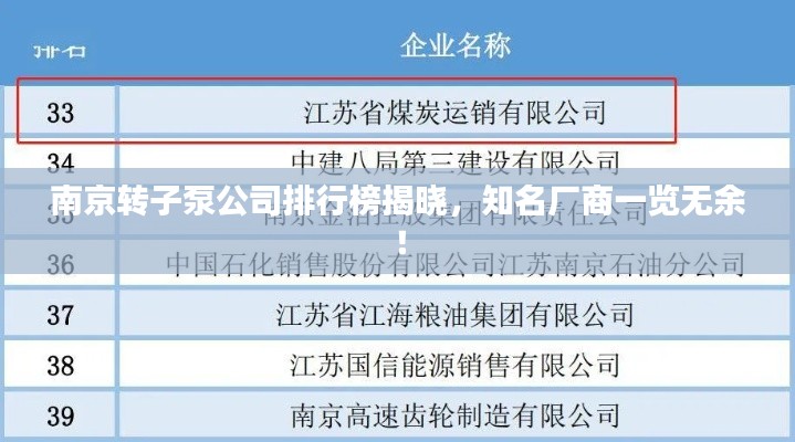 南京转子泵公司排行榜揭晓，知名厂商一览无余！