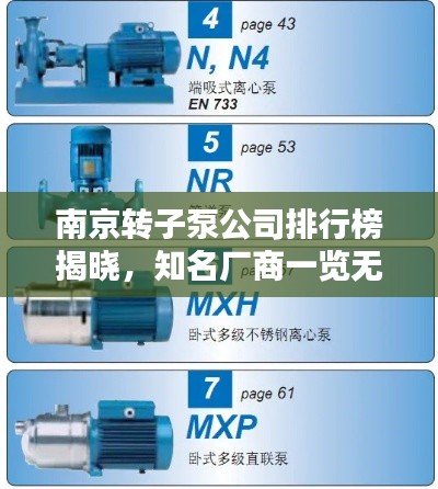 南京转子泵公司排行榜揭晓,知名厂商一览无余!