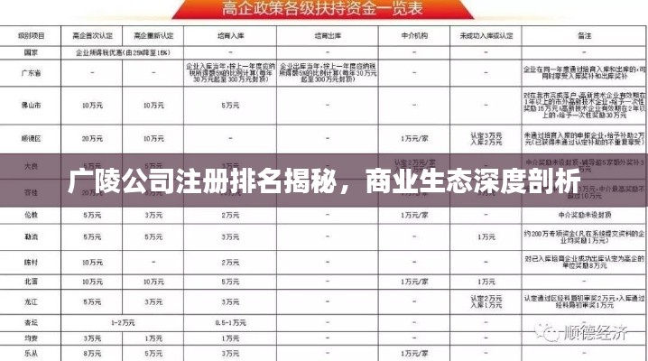 广陵公司注册排名揭秘,商业生态深度剖析