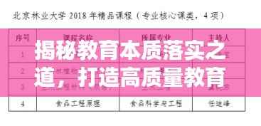 揭秘教育本质落实之道,打造高质量教育环境的关键策略
