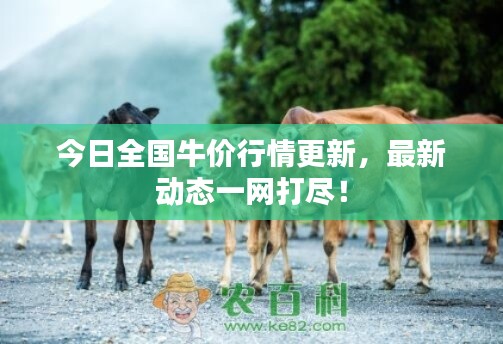 今日全国牛价行情更新,最新动态一网打尽!